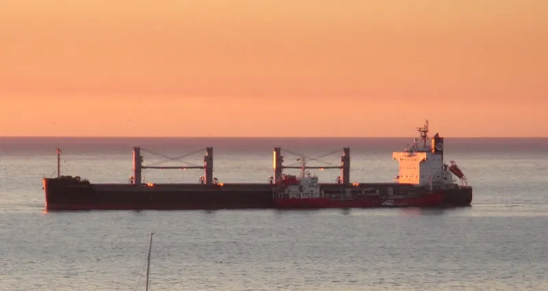 PENGUIN ISLAND Bulk Carrier IMO 9520962 photo 6