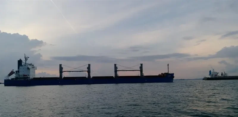 CONON Bulk Carrier IMO 9520974