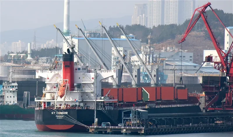 CONON Bulk Carrier IMO 9520974 photo 2