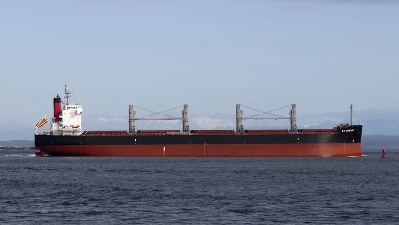 CONON Bulk Carrier IMO 9520974 photo 5