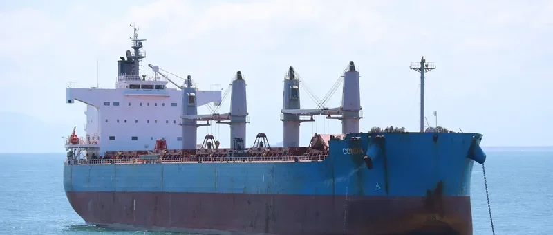 CONON Bulk Carrier IMO 9520974 photo 7