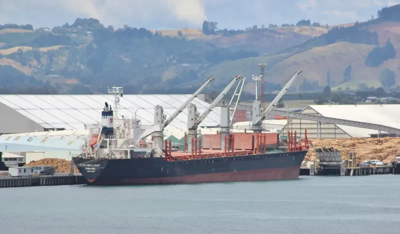 EVER BRILLIANT Bulk Carrier IMO 9520998 photo 4