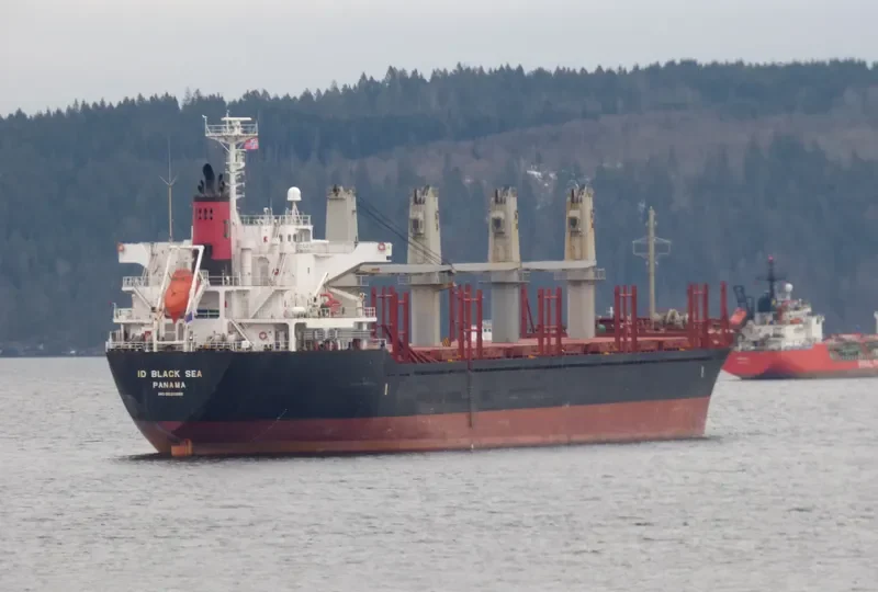EVER BRILLIANT Bulk Carrier IMO 9520998 photo 9