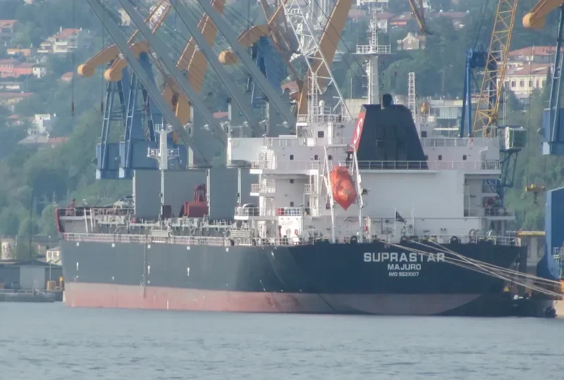 FLC CELEBRATION Bulk Carrier IMO 9521007 photo 6