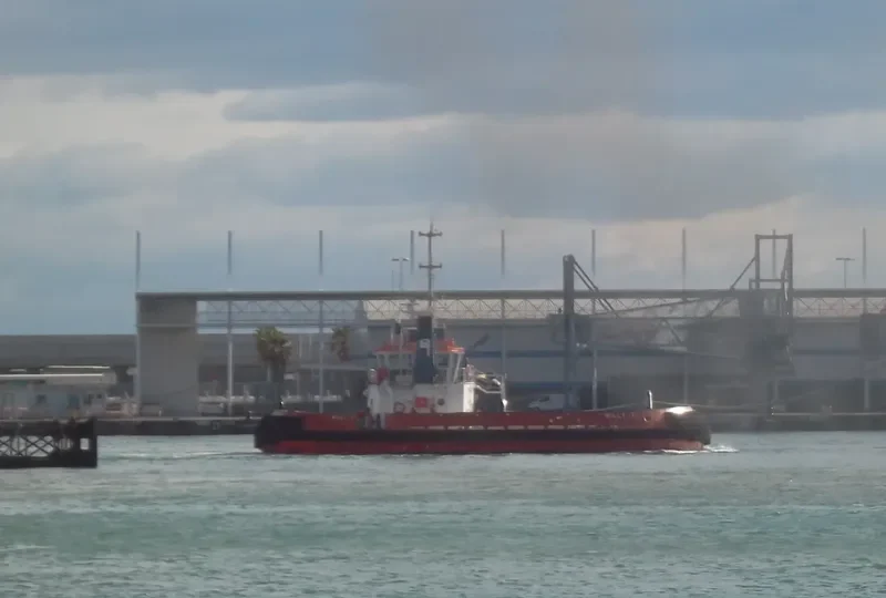 WILLY T General Cargo IMO 9521186 photo 9