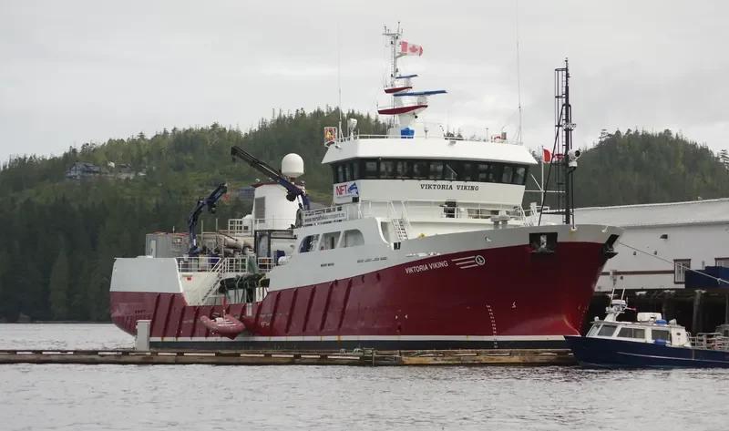 VIKTORIA VIKING General Cargo IMO 9521801 photo 3