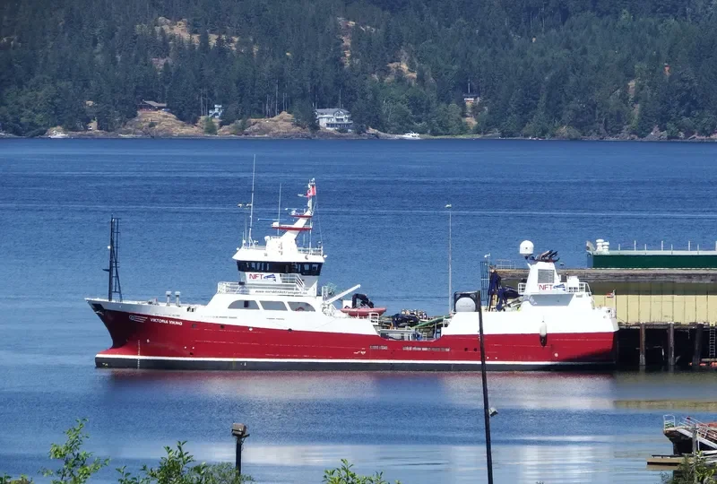 VIKTORIA VIKING General Cargo IMO 9521801 photo 4