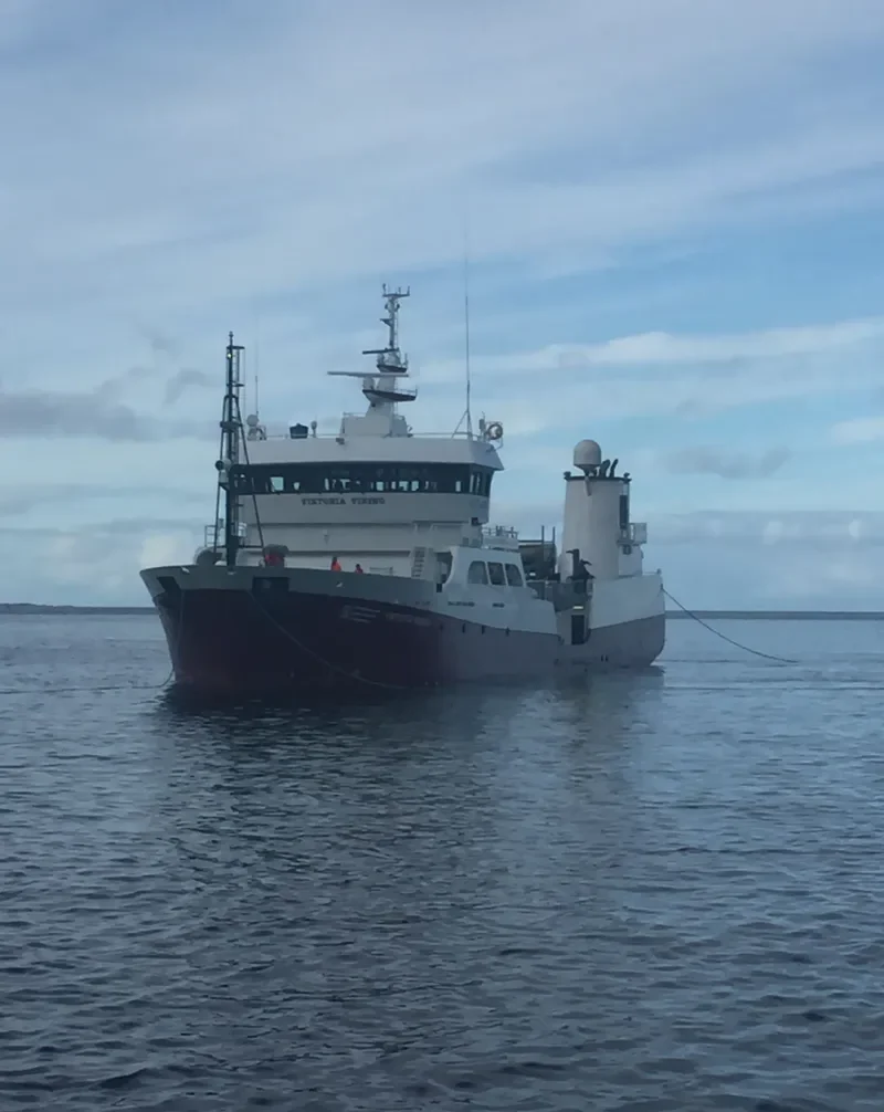 VIKTORIA VIKING General Cargo IMO 9521801 photo 5