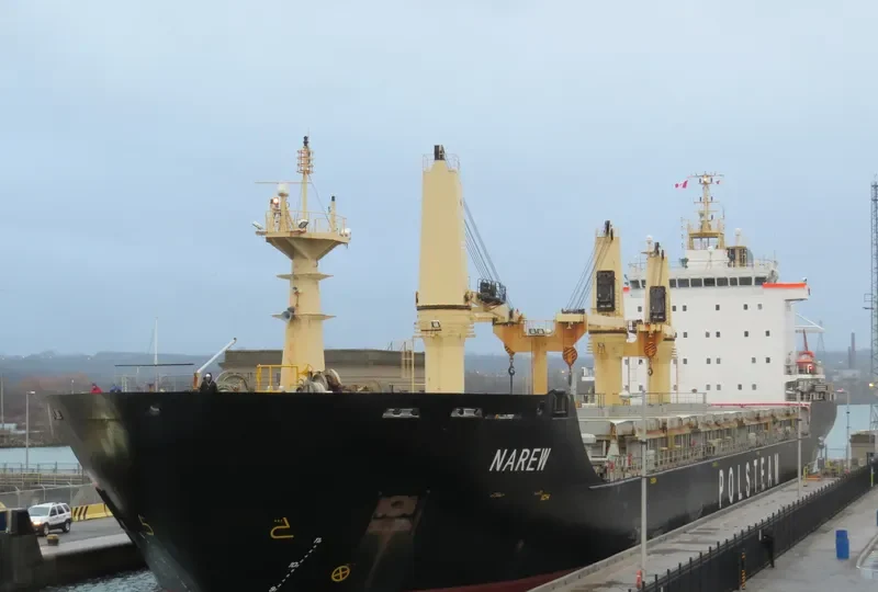 NAREW Bulk Carrier IMO 9521813 photo 3