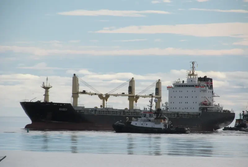 NAREW Bulk Carrier IMO 9521813 photo 8