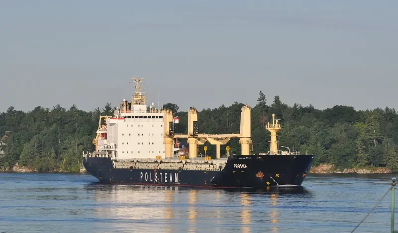 PROSNA Bulk Carrier IMO 9521849 photo 4