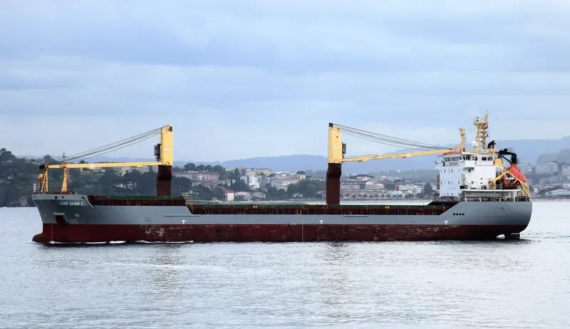 SIDER RODI General Cargo IMO 9522001 photo 2