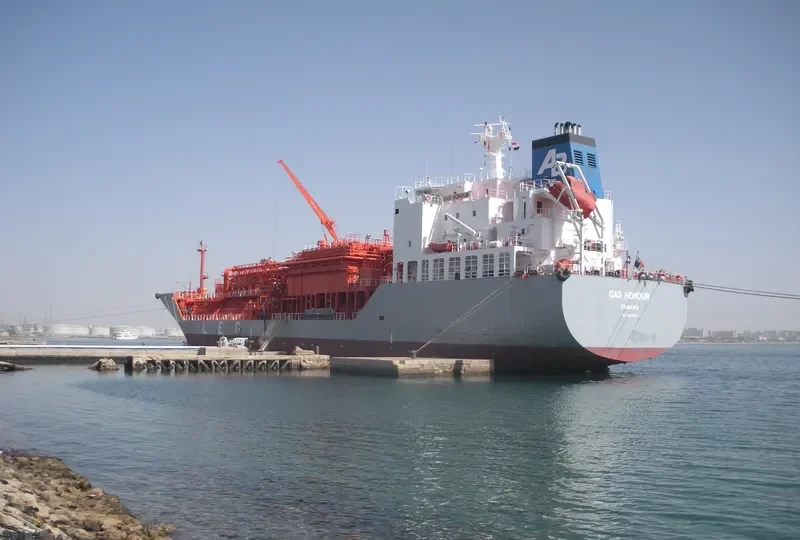 GAS IONIAN General Cargo IMO 9522271 photo 2