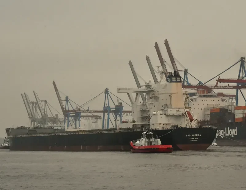 MERCHANT MARINER Bulk Carrier IMO 9522647 photo 4