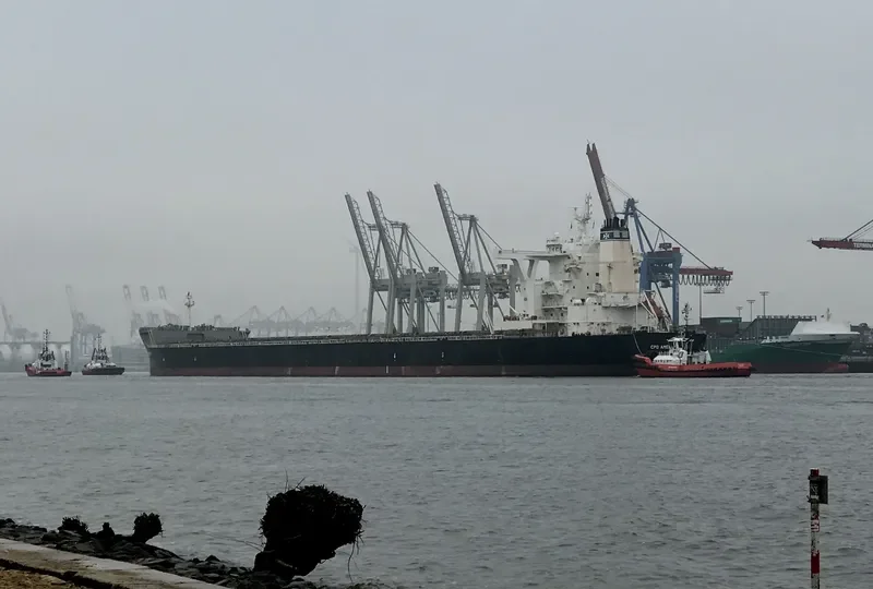 MERCHANT MARINER Bulk Carrier IMO 9522647 photo 5