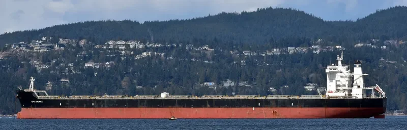 MERCHANT MARINER Bulk Carrier IMO 9522647 photo 6