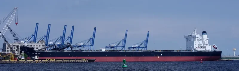 MERCHANT MARINER Bulk Carrier IMO 9522647 photo 10