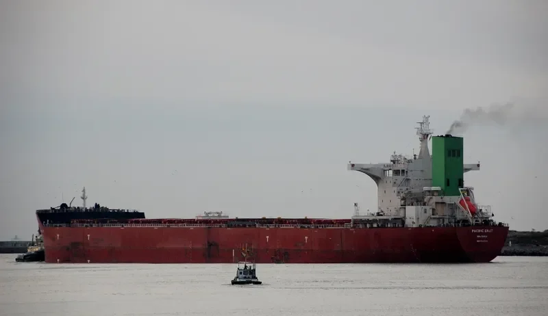 PACIFIC EAST Bulk Carrier IMO 9522661 photo 6