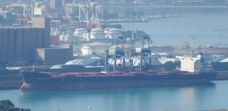 STELLA FLORA Bulk Carrier IMO 9522673 photo 3