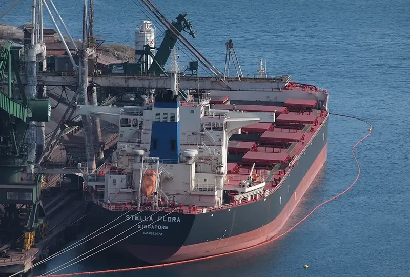 STELLA FLORA Bulk Carrier IMO 9522673 photo 6
