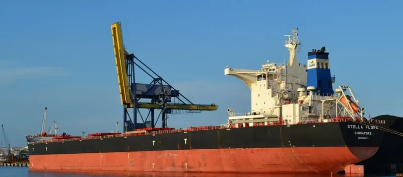 STELLA FLORA Bulk Carrier IMO 9522673 photo 9