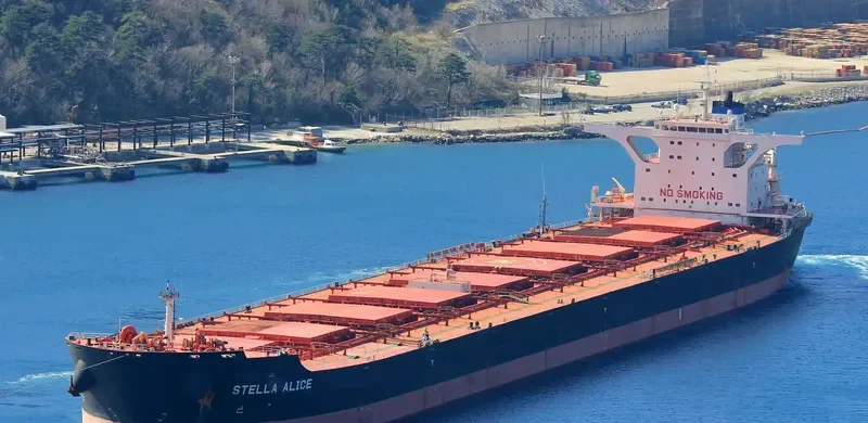 STELLA ALICE Bulk Carrier IMO 9522697 photo 5