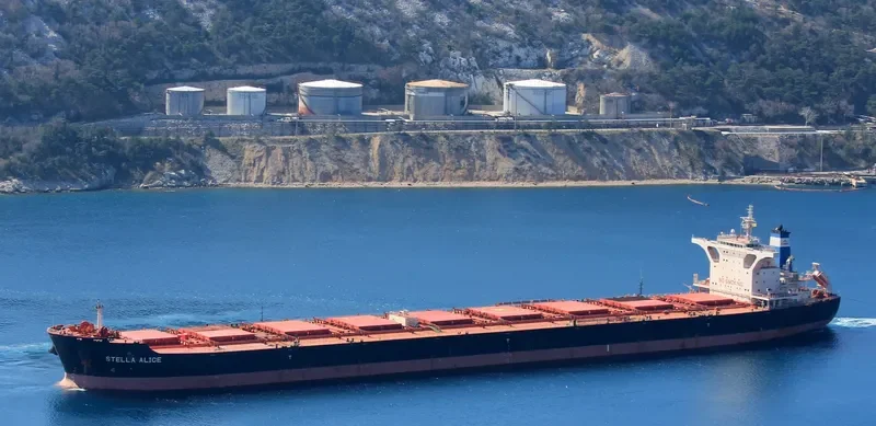 STELLA ALICE Bulk Carrier IMO 9522697 photo 6