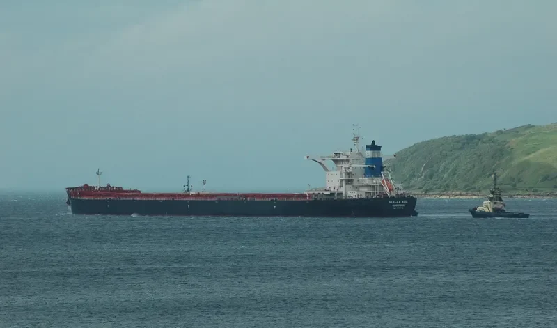 STELLA ADA Bulk Carrier IMO 9522714 photo 2