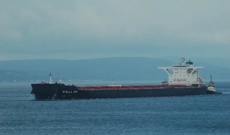 STELLA ADA Bulk Carrier IMO 9522714 photo 4