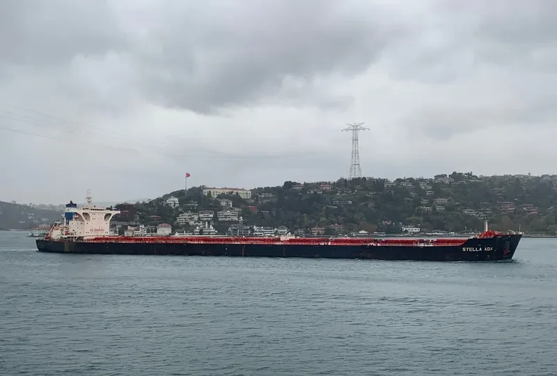 STELLA ADA Bulk Carrier IMO 9522714 photo 7