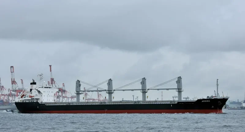 ITALIDA Bulk Carrier IMO 9522817 photo 4
