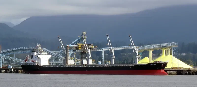 ITALIDA Bulk Carrier IMO 9522817 photo 5