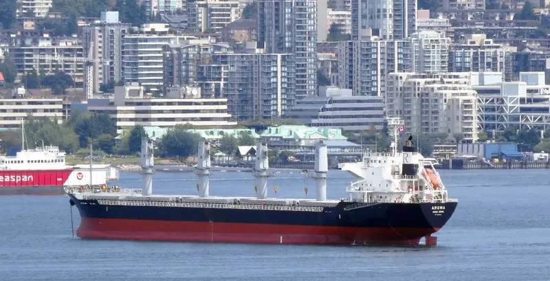 ITALIDA Bulk Carrier IMO 9522817 photo 6