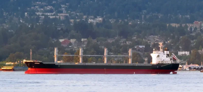 ITALIDA Bulk Carrier IMO 9522817 photo 7