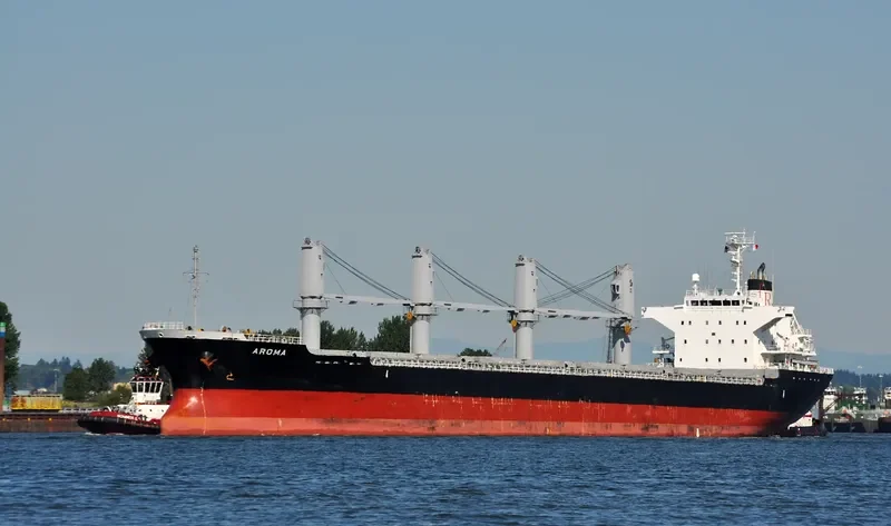ITALIDA Bulk Carrier IMO 9522817 photo 8