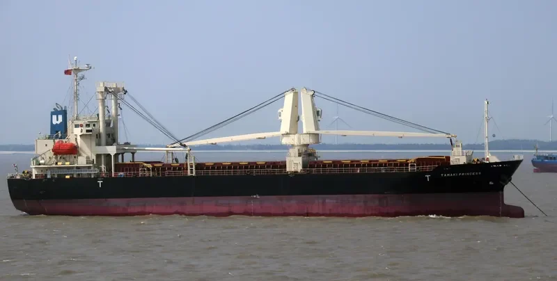 TAMAKI PRINCESS General Cargo IMO 9522831