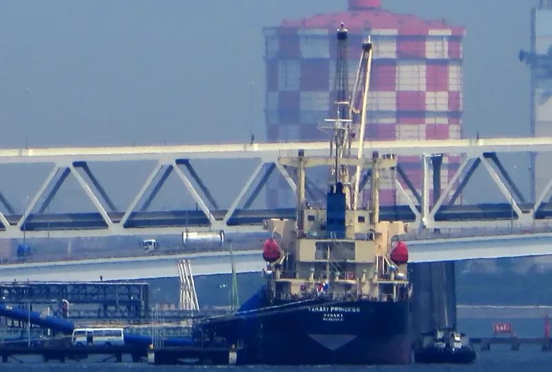 TAMAKI PRINCESS General Cargo IMO 9522831 photo 5