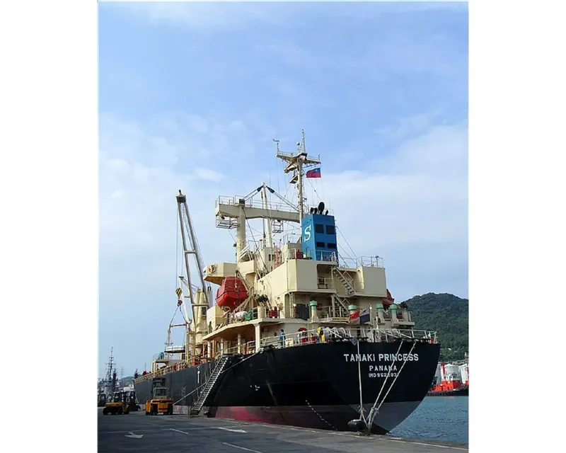 TAMAKI PRINCESS General Cargo IMO 9522831 photo 6