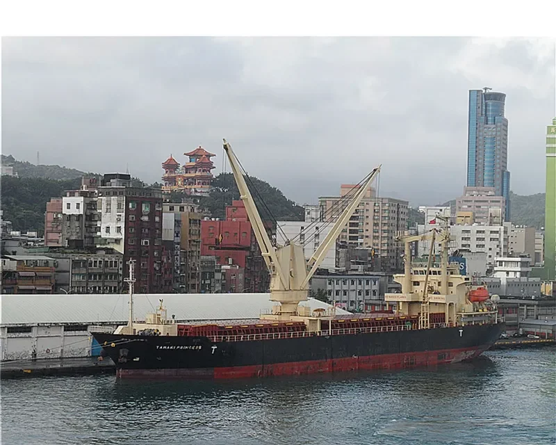 TAMAKI PRINCESS General Cargo IMO 9522831 photo 10