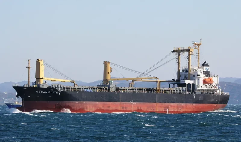 SHINSUNG BRIGHT General Cargo IMO 9522855 photo 4