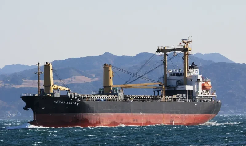 SHINSUNG BRIGHT General Cargo IMO 9522855 photo 5