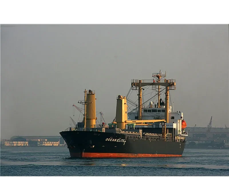 SHINSUNG BRIGHT General Cargo IMO 9522855 photo 7