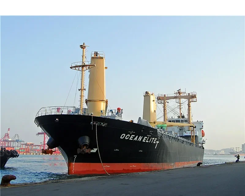 SHINSUNG BRIGHT General Cargo IMO 9522855 photo 10