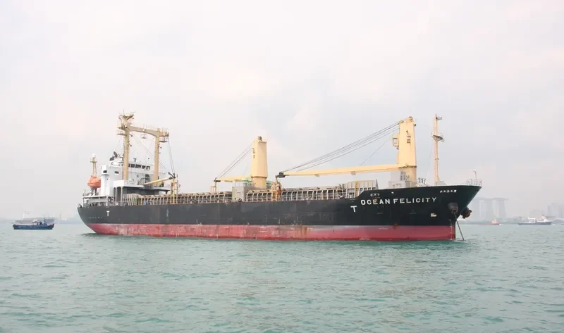 ASHICO VICTORIA General Cargo IMO 9522867 photo 8