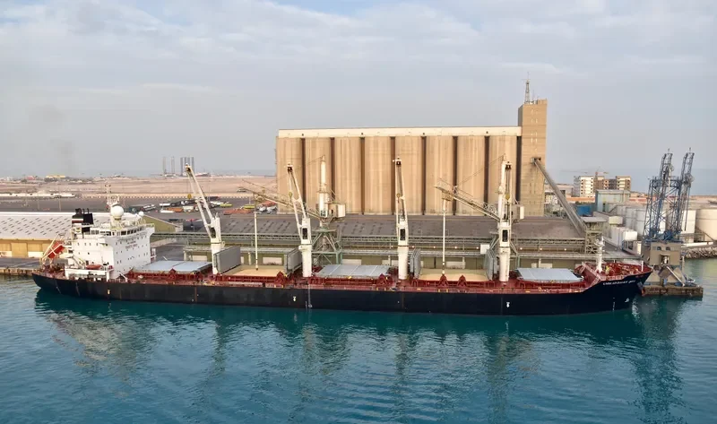 STRADION Bulk Carrier IMO 9522922 photo 2