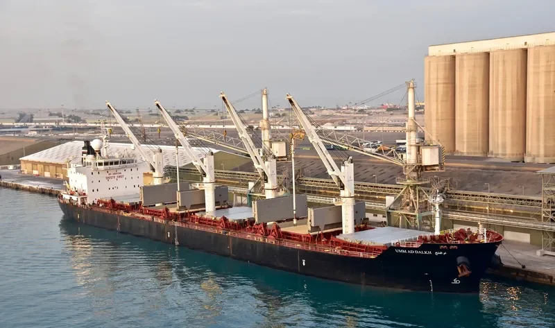 STRADION Bulk Carrier IMO 9522922 photo 3