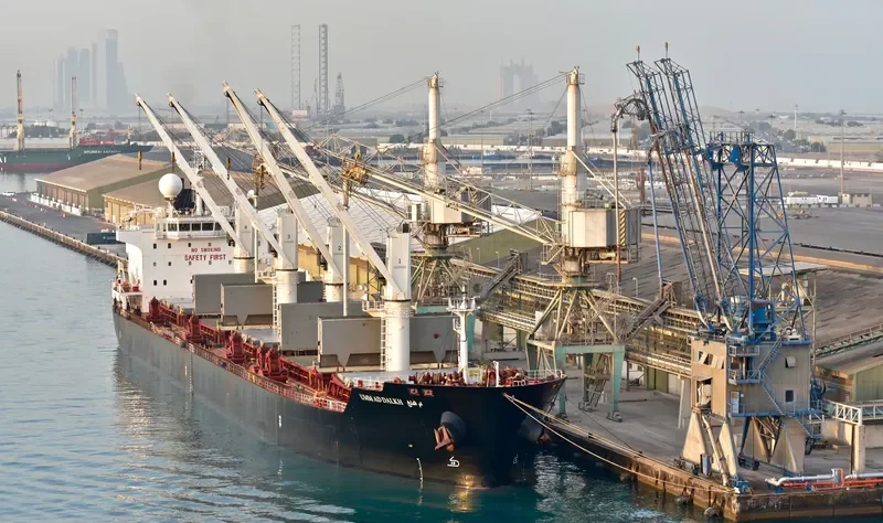 STRADION Bulk Carrier IMO 9522922 photo 4