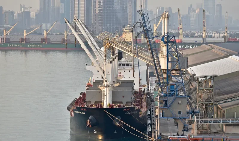 STRADION Bulk Carrier IMO 9522922 photo 5