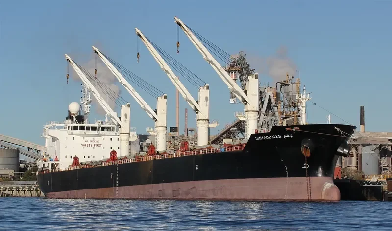STRADION Bulk Carrier IMO 9522922 photo 6