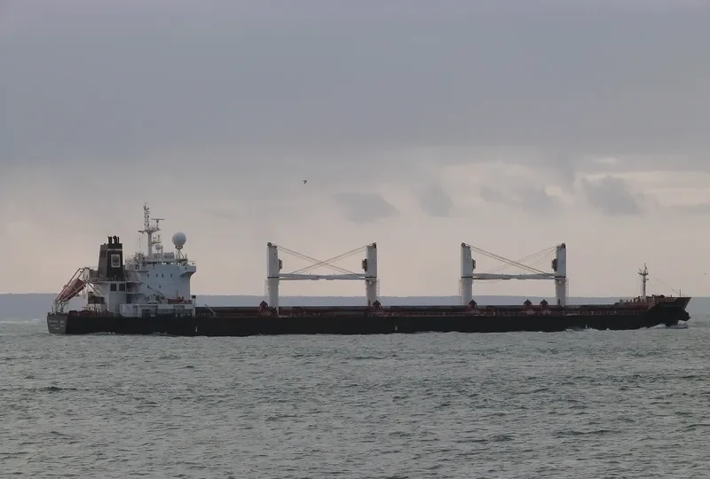 STRADION Bulk Carrier IMO 9522922 photo 8